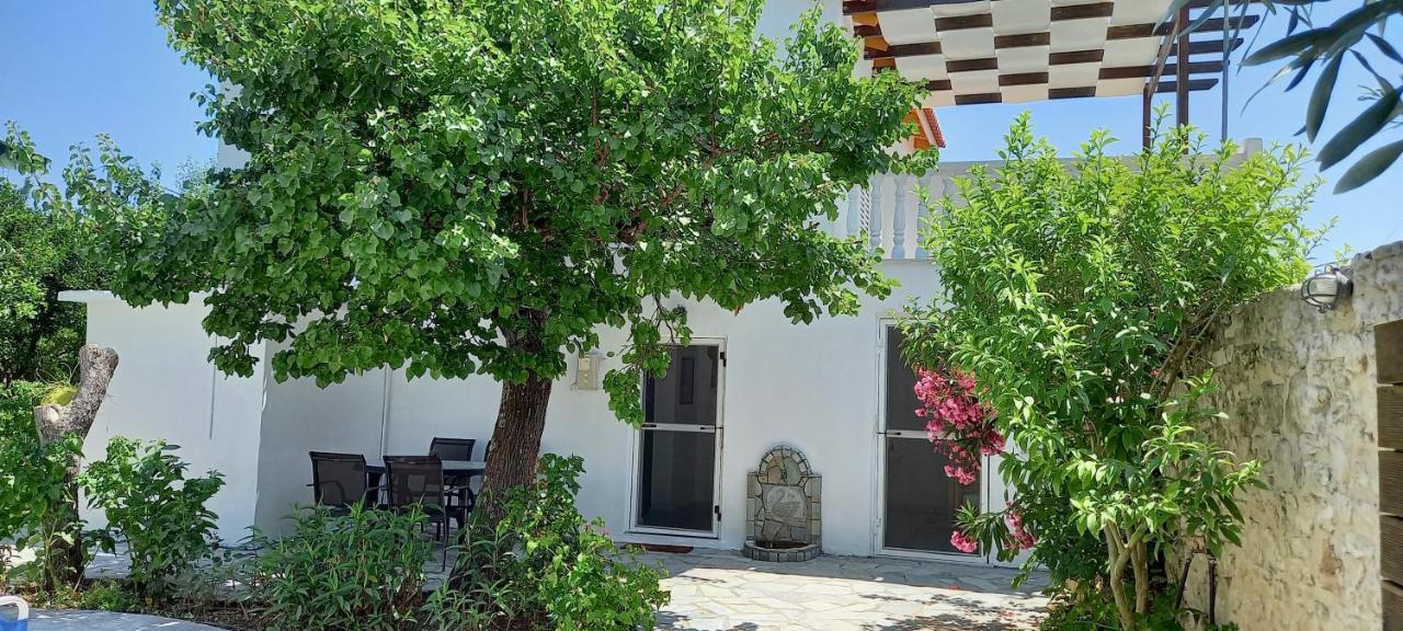 Villa Beloussi Zakynthos Kypseli Extérieur photo